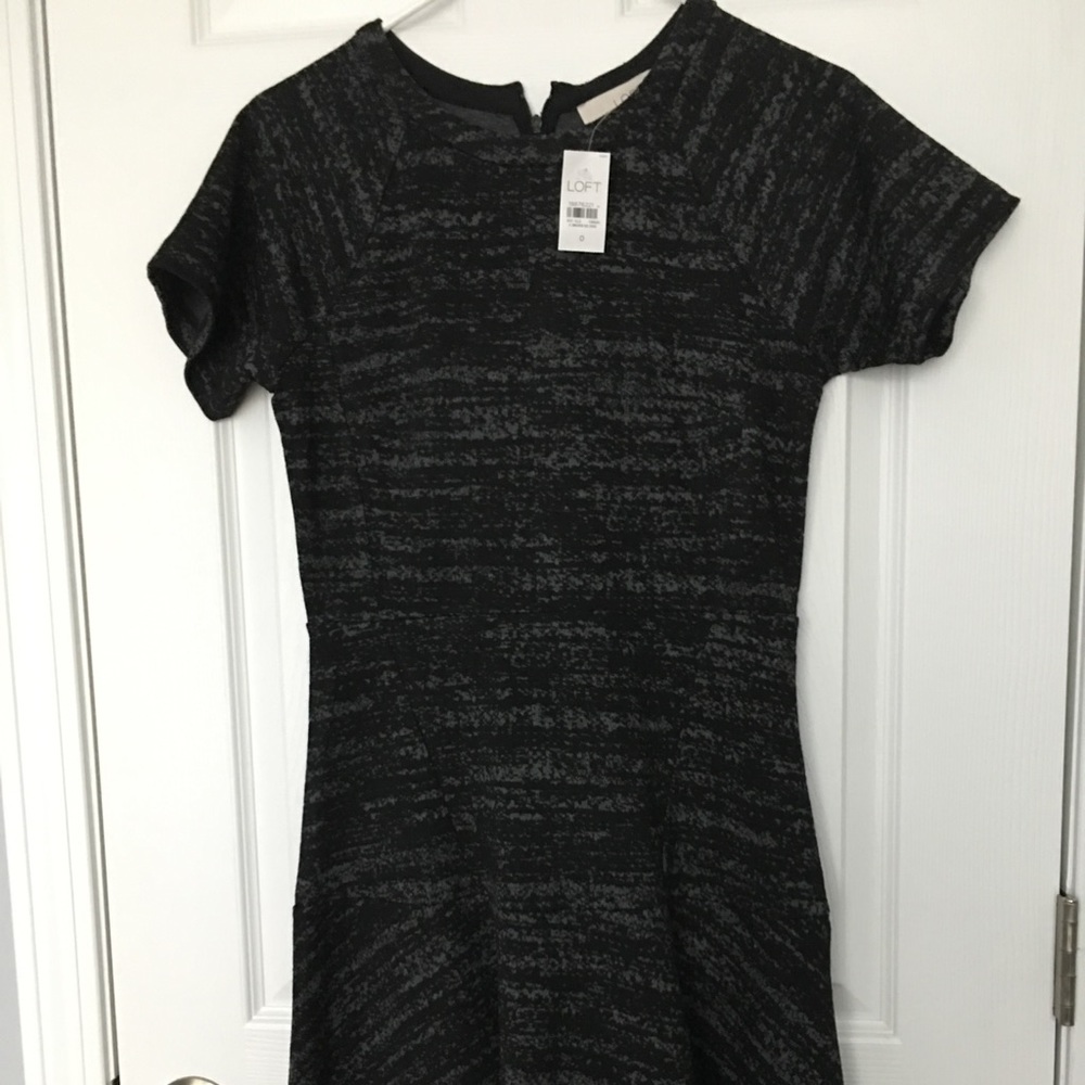 NWT Loft Skater Skirt Dress